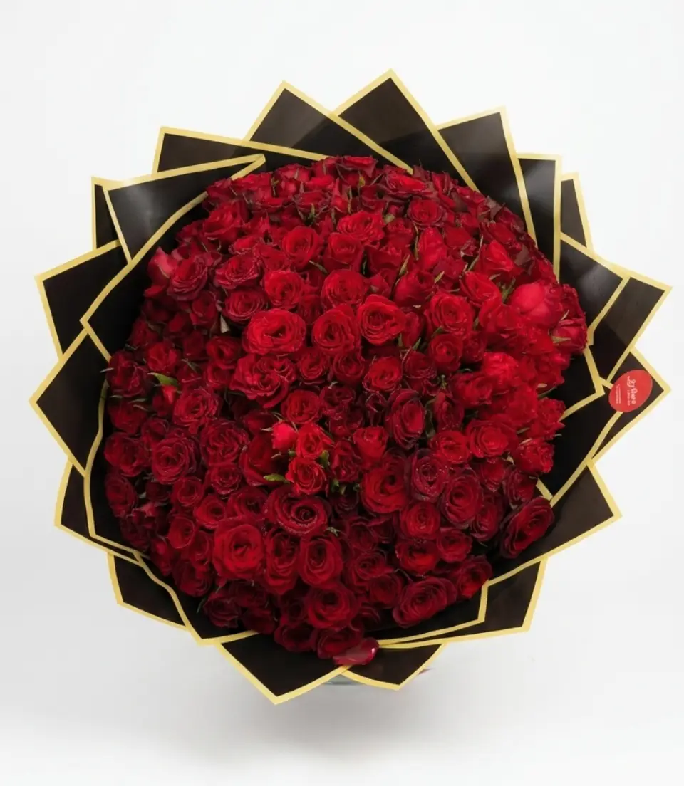 101 fleurs casablanca 101 fleurs casablanca